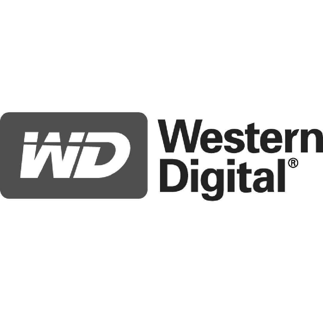 Nosotros 15 wd western digital